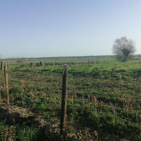 Charming Cottage Du Marais Dday Omaha Beach Canchy  المظهر الخارجي الصورة