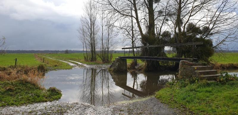 Charming Cottage Du Marais Dday Omaha Beach Canchy  المظهر الخارجي الصورة