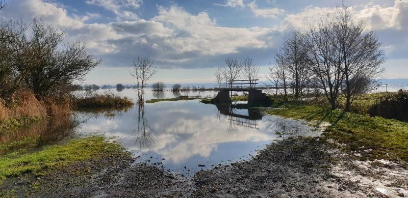 Charming Cottage Du Marais Dday Omaha Beach Canchy  المظهر الخارجي الصورة